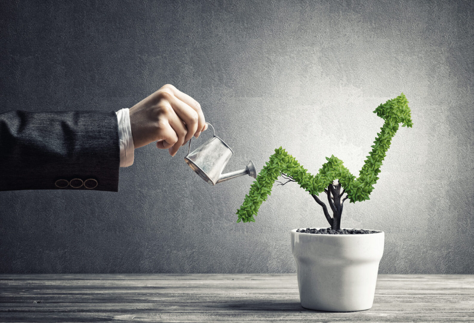 Concept of investment income and growth with tree in pot Hand of woman watering small plant in pot shaped like growing graph