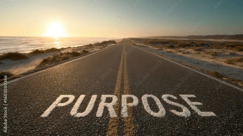 Sunlit road with 'PURPOSE' painted on the asphalt.